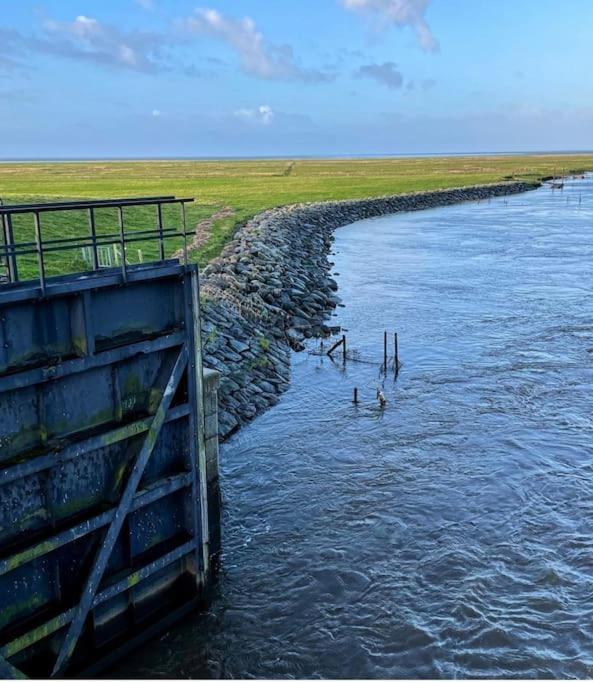 Charmerende Bolig Naer Domkirken รีเบอ ภายนอก รูปภาพ