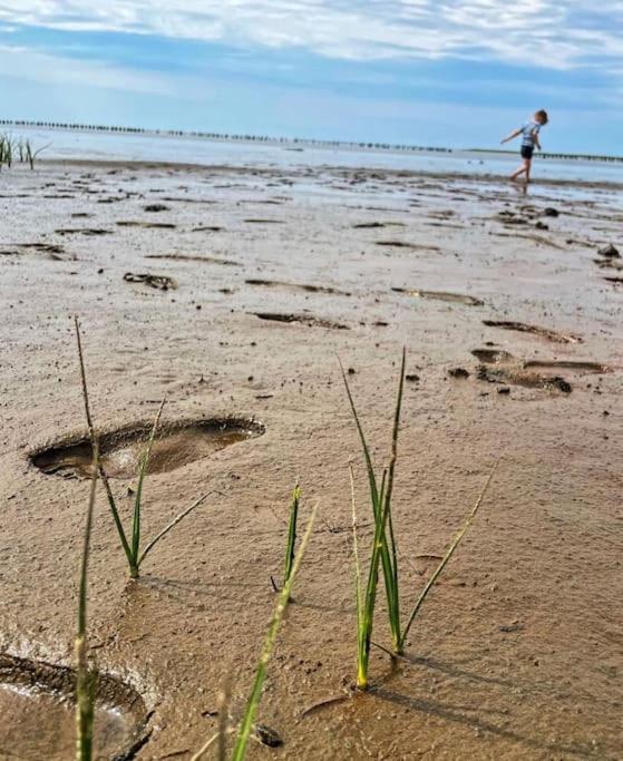 Charmerende Bolig Naer Domkirken รีเบอ ภายนอก รูปภาพ